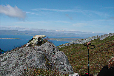 Photograph taken in Ireland for Self-directed project