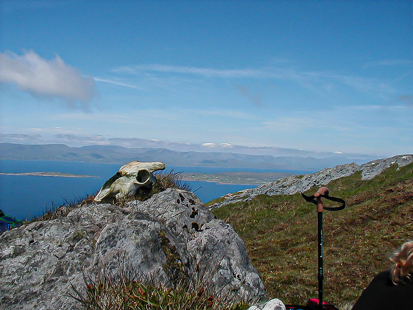 Southern Ireland, Overlooking Bantry Bay.&nbsp; 
