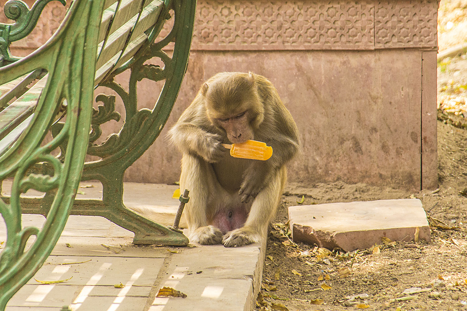 It was a hot day and they fancied an Ice Lolly as well.