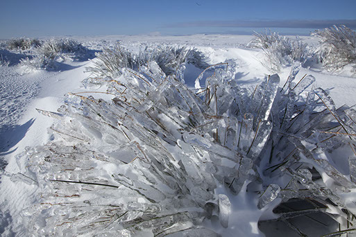 Professional Landscape Photography